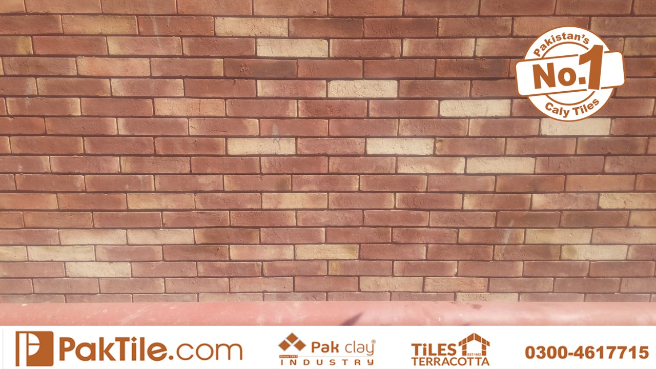 Bricks front wall tiles
