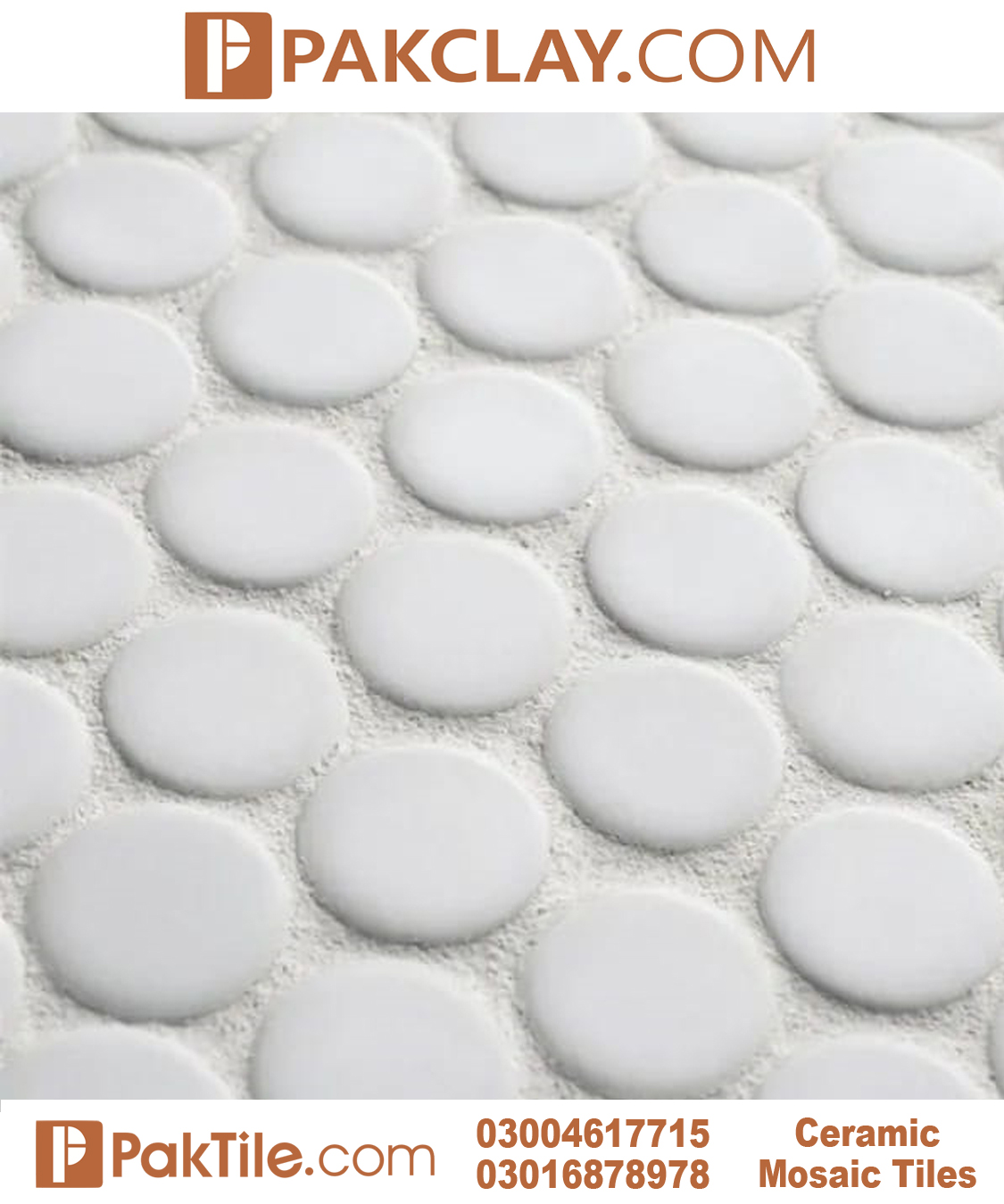 Penny Round Mosaic Floor Tiles Design Color Pure White