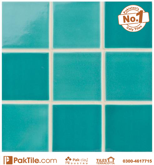 Pak Clay Swimming Pool Tiles Texture for sale in Pakistan Available Size 2x2 inch 3x3 4x4 6x6 inch