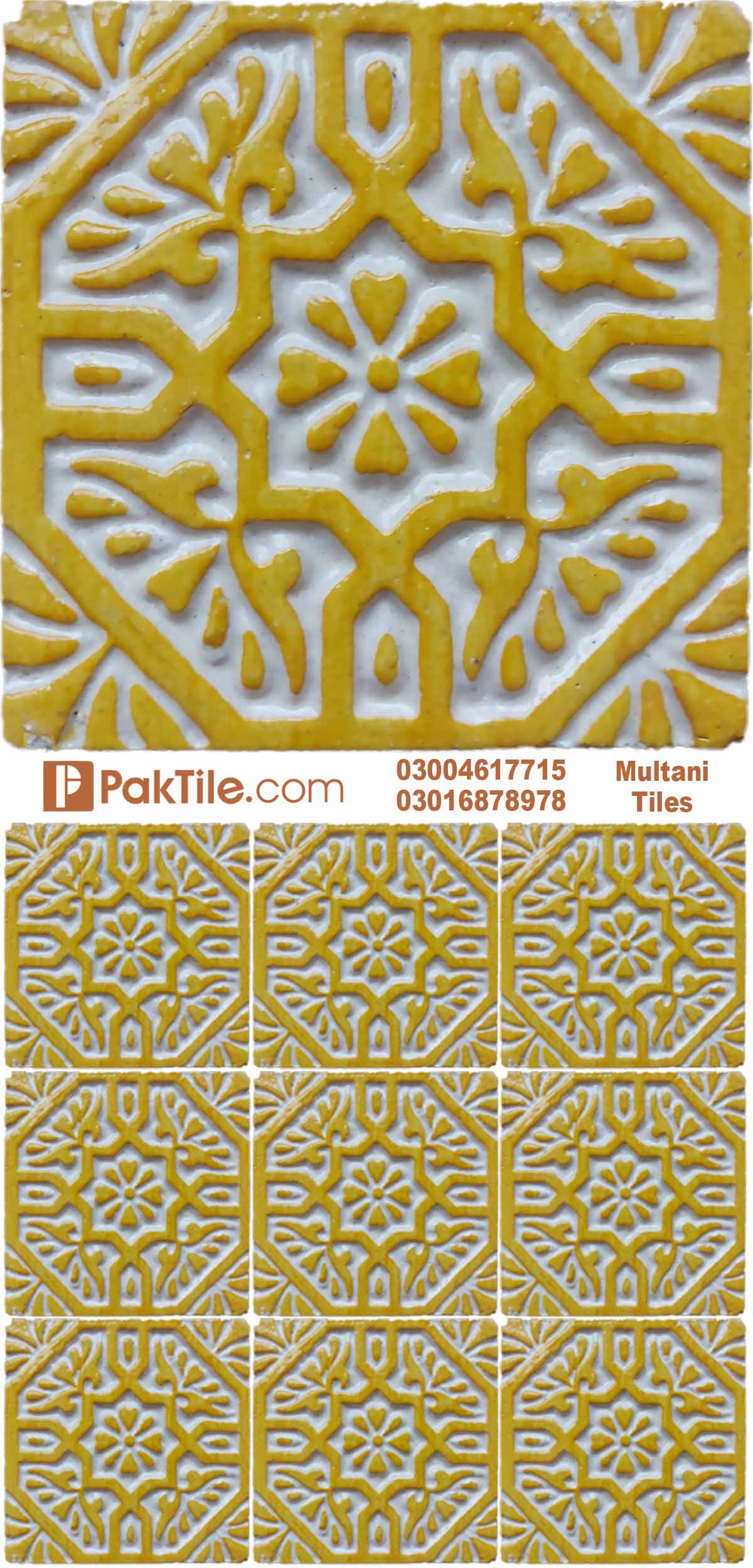Pak Clay Multani Mosaic Floor Tiles Design