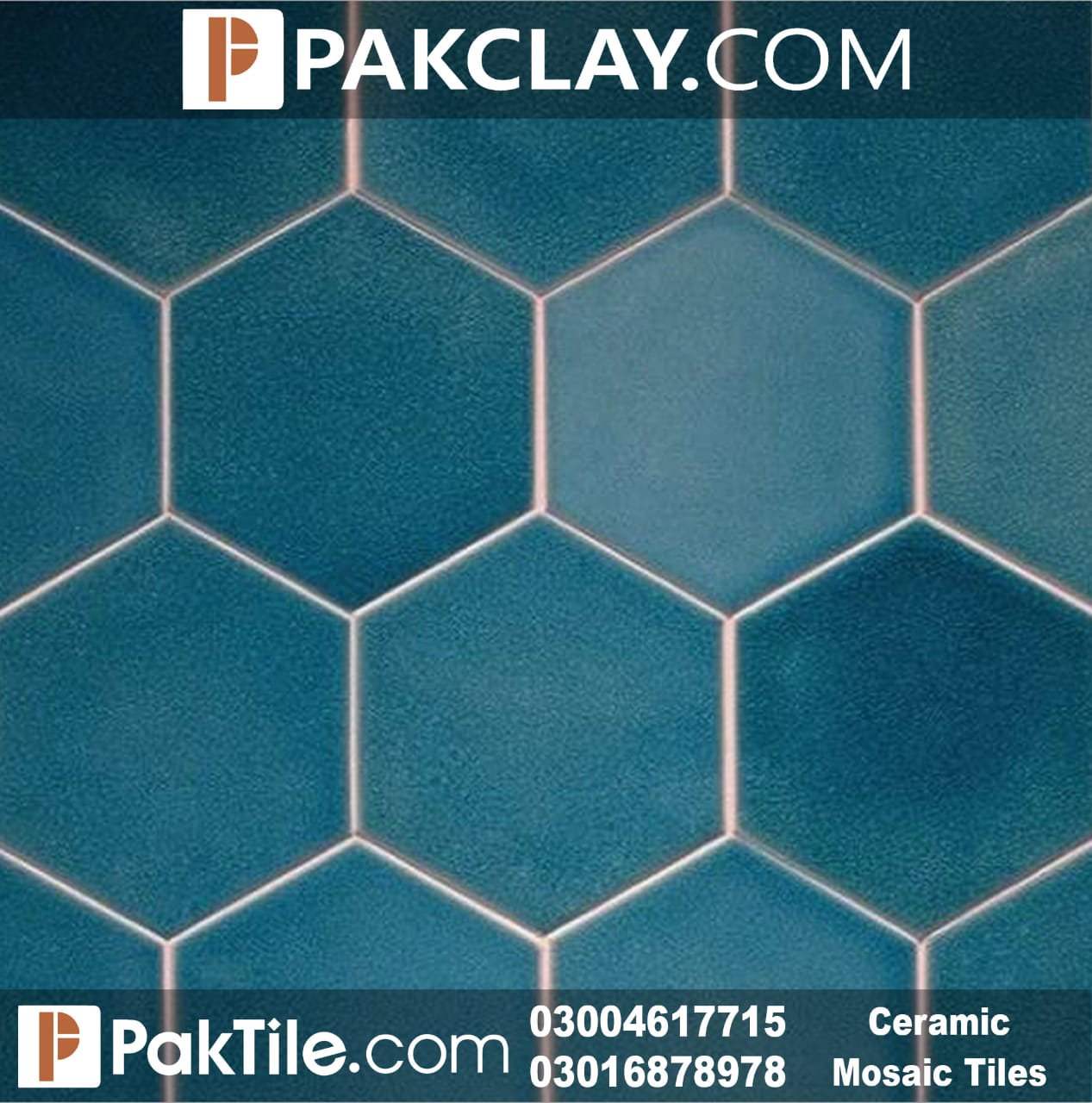 Pak Clay Hexagon Mosaic Tiles Design