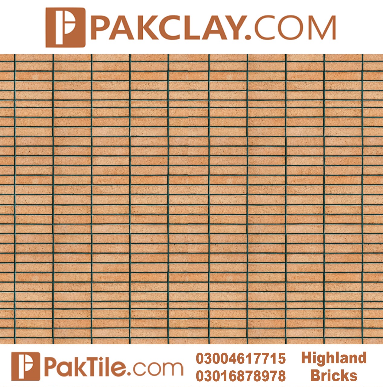 wall tiles design in Pakistan