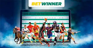 Betwinner Reliable Your Go-To Betting Platform